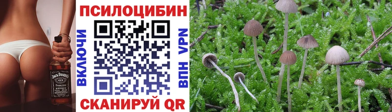Псилоцибиновые грибы Psilocybe  Буйнакск 